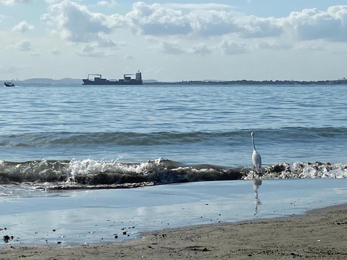 Apto Exclusivo En Bocagrande Frente Al Mar Cartagena Kültér fotó